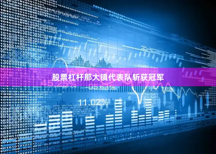 股票杠杆那大镇代表队斩获冠军