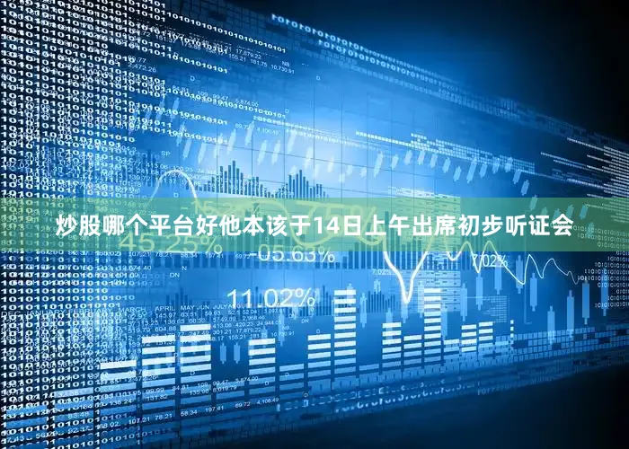 炒股哪个平台好他本该于14日上午出席初步听证会