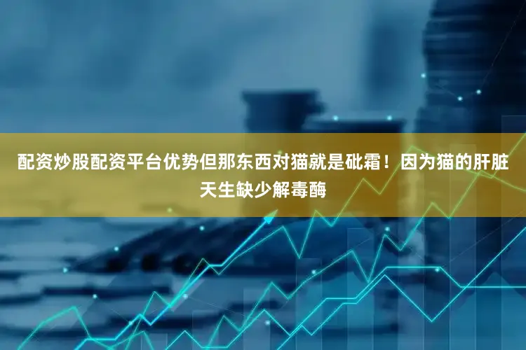 配资炒股配资平台优势但那东西对猫就是砒霜！因为猫的肝脏天生缺少解毒酶