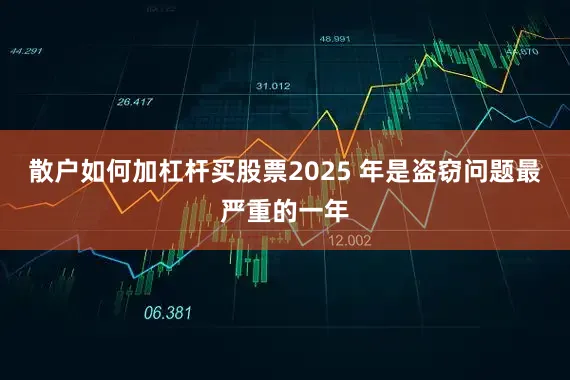 散户如何加杠杆买股票2025 年是盗窃问题最严重的一年